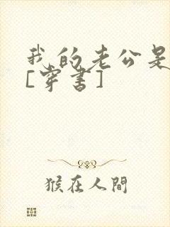 我的老公是反派[穿书]