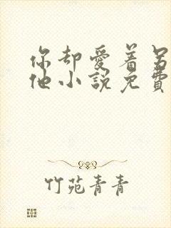 你却爱着另一个他小说免费阅读