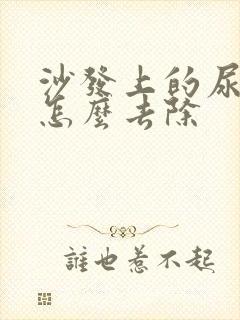 沙发上的尿骚味怎么去除