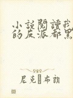 小说阅读我攻略的反派都黑化了