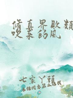 修真界败类大漠吹来的风