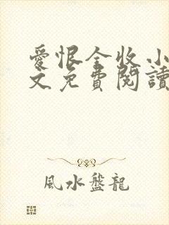 爱恨全收小说全文免费阅读