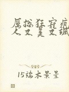 厉总狂宠疯子夫人又美又飒演员