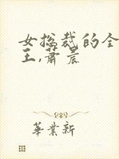 女总裁的全能兵王,萧晨