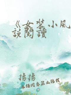 《女装小风》小说阅读