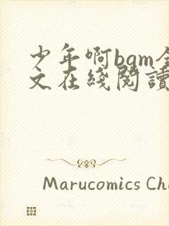 少年啊bgm全文在线阅读免费