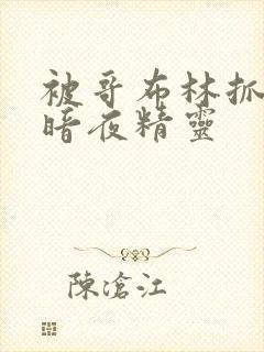 被哥布林抓住的暗夜精灵