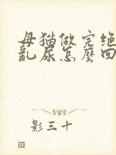 母猫做完绝育还乱尿怎么回事