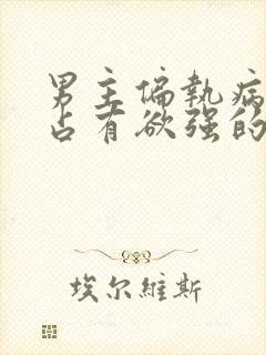 男主偏执病态,占有欲强的小说推荐