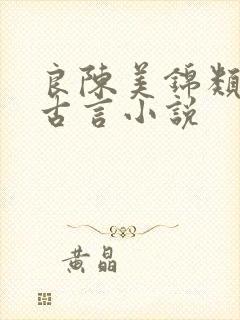 良陈美锦类似的古言小说