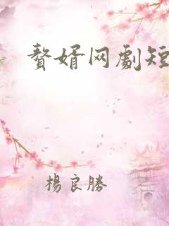 赘婿网剧短剧