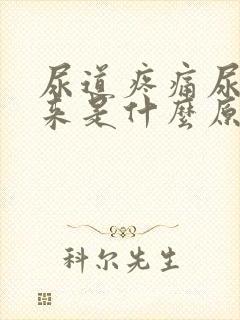 尿道疼痛尿不出来是什么原因?