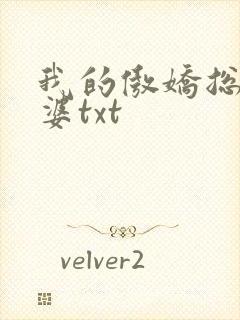 我的傲娇总裁老婆txt