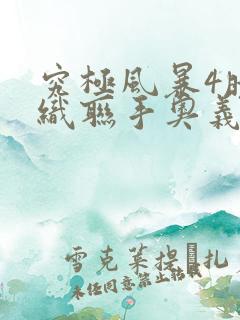 究极风暴4晓组织联手奥义选谁