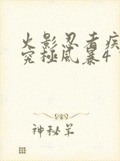 火影忍者疾风传究极风暴4 下载