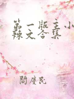 第一版主小说网辣文合集