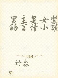 男主是女装大佬的言情小说