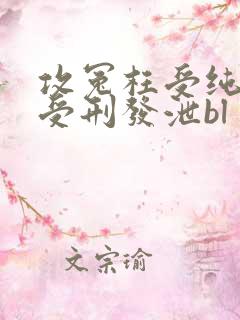 攻冤枉受纯虐身受刑发泄bl