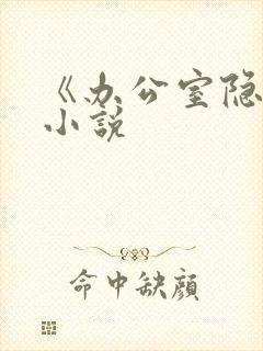 《办公室隐婚》小说