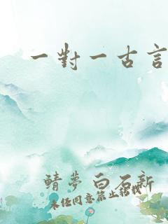 一对一古言肉