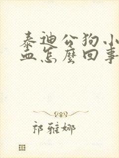 泰迪公狗小便有血怎么回事