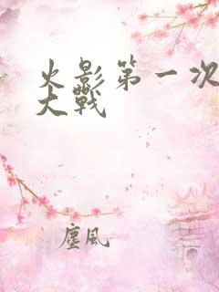 火影第一次忍界大战