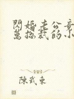 闪婚老公竟是亿万总裁的小说