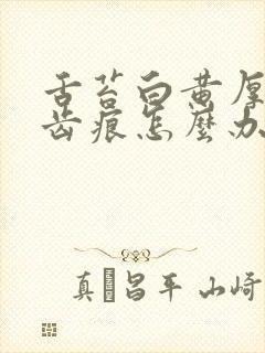 舌苔白黄厚腻有齿痕怎么办