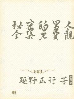 秘密的男人高清全集免费观看