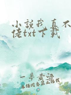 小说我真不是大佬txt下载