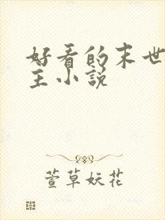 好看的末世双男主小说