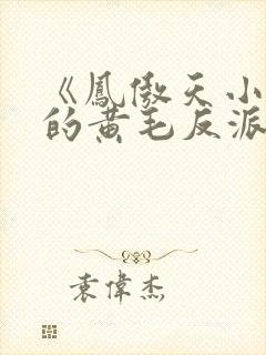 《凤傲天小说里的黄毛反派也想幸福》