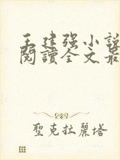 王建强小说免费阅读全文最新章节