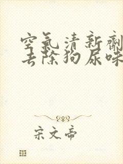 空气清新剂可以去除狗尿味吗