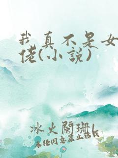 我真不是女装大佬(小说)