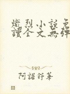 炽烈小说免费阅读全文无弹窗