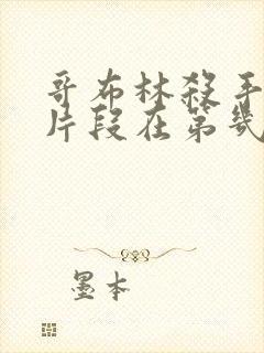 哥布林杀手精彩片段在第几集出现