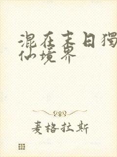 混在末日独自成仙境界