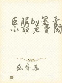 臣服by墨青城小说免费阅读全文在线阅笔趣