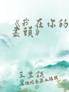 《我在你的人生尽头》