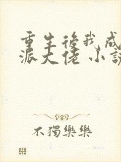 重生后我成了反派大佬 小说