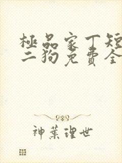 极品家丁短剧王二狗免费全集观看