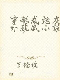 穿越成炮灰的海外亲戚小说