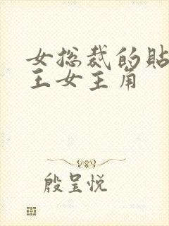 女总裁的贴身兵王女主角