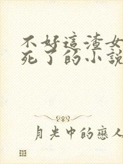 不好这渣女要虐死了的小说