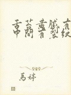 舌苔黄腻有齿痕中间有裂纹