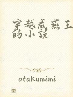 穿越成燕王赵煦的小说