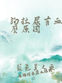 狗拉尿有血是什么原因