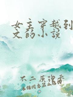 女主穿越到赘婿文的小说