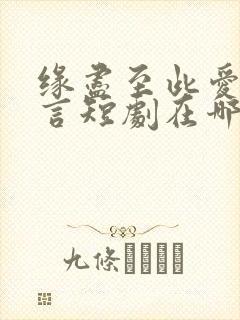 缘尽至此爱不再言短剧在哪看